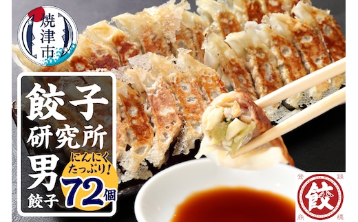 a11-146 餃子研究所 男餃子×6パック