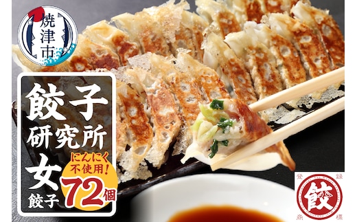 a11-147 餃子研究所 女餃子×6パック