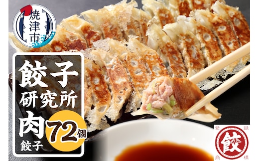 a11-148 餃子研究所 肉餃子×6パック