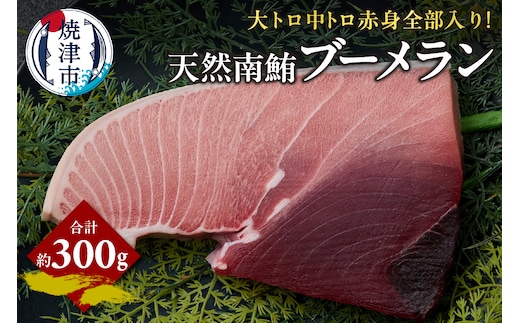 a11-158 天然 南マグロ ブーメラン 約300g