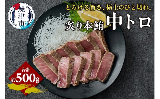 a15-678 炙り 本鮪 中トロ 約500g