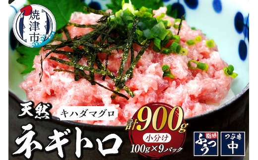 a10-1288 焼津 海の極 海伸 マグロ ネギトロ 小分け 900g 100g×9パック