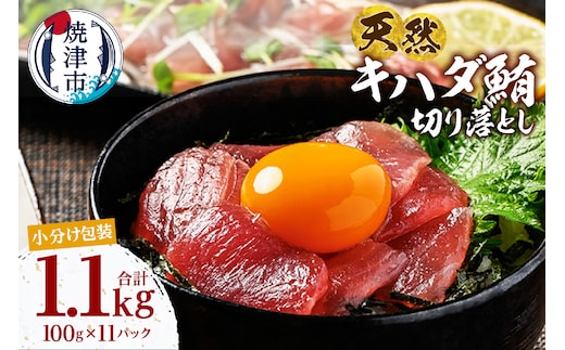 a12-279 天然 キハダマグロ 切り落し 小分け 焼津 海の極 計1.1kg 100g×11P