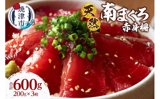 a14-115 天然 ミナミマグロ 赤身 柵 刺身 焼津 海の極 計600g 200g×3