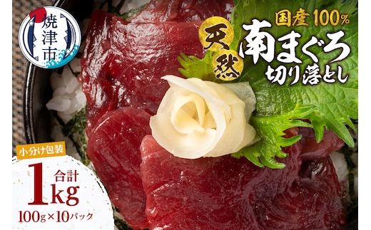 a16-199 国産 ミナミマグロ 一口サイズカット 刺身 小分け セット 赤身 1パックあたり 100g 海鮮丼 刺身 寿司 漬け丼 焼津 海の極 1kg（100g ×10パック）