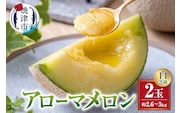a32-026　メロン 温室 アローマ 果物 ハウス 白等級 2玉 GABA