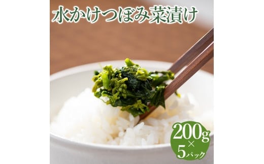 水かけつぼみ菜漬け ５パックセット【惣菜 漬物】