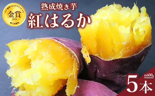 熟成焼き芋5本セット（紅はるか） ※北海道、沖縄、離島への配送不可 ※2026年6月中旬頃までに順次発送予定
