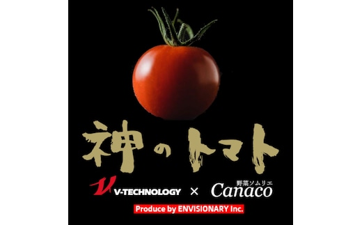 神のトマト 1kg ｜ ミニトマト とまと 野菜 やさい フルティカ 栄養 旨味 富糖度