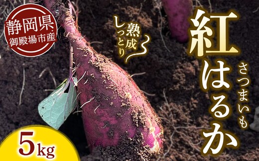 さつまいも 紅はるか 5kg | サツマイモ さつま芋 芋 べにはるか 熟成 静岡県 御殿場市 ※2026年10月?発送