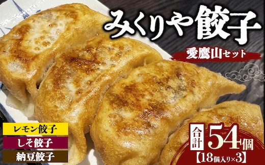 みくりや餃子 愛鷹山セット 大（18個入り×3） | 食べ比べ 詰め合わせ バラエティー 冷凍 ギョウザ 惣菜 おかず お弁当 レモン餃子 しそ餃子 納豆餃子