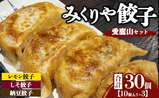 みくりや餃子 愛鷹山セット 小（10個入り×3） | 食べ比べ 詰め合わせ バラエティー 冷凍 ギョウザ 惣菜 おかず お弁当 レモン餃子 しそ餃子 納豆餃子