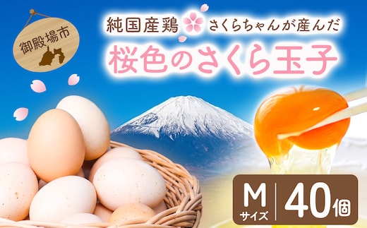 純国産鶏さくらちゃんが産んだ桜色のさくら玉子 五分咲き（Mサイズ）40個 ｜ 卵 鶏卵 たまご タマゴ 生卵 たまごかけご飯 濃厚 甘み 国産