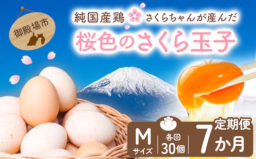 【定期便7ヵ月】純国産鶏さくらちゃんが産んだ桜色のさくら玉子 五分咲き（Mサイズ）30個 ｜ 卵 鶏卵 たまご タマゴ 生卵 たまごかけご飯 濃厚 甘み 国産