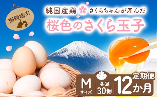 【定期便12ヵ月】純国産鶏さくらちゃんが産んだ桜色のさくら玉子 五分咲き（Mサイズ）30個 ｜ 卵 鶏卵 たまご タマゴ 生卵 たまごかけご飯 濃厚 甘み 国産