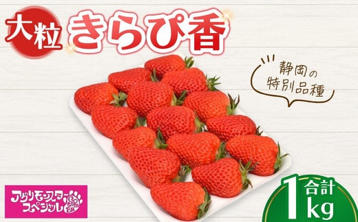 大粒 きらぴ香 静岡の特別品種 500g×トレー2枚 計1kg ｜ いちご 苺 果物 静岡県 ※2026年1月上旬～4月中旬頃に順次発送予定 ※北海道・沖縄・離島への配送不可