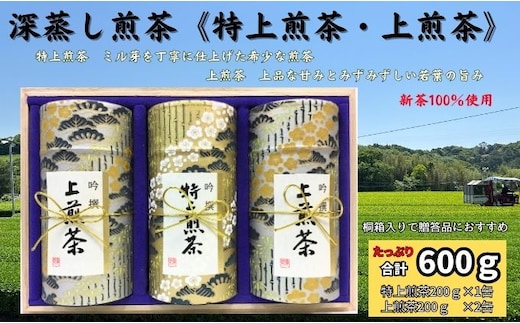 深蒸し煎茶《特上煎茶[200g×1本]・上煎茶[200g×2本]》