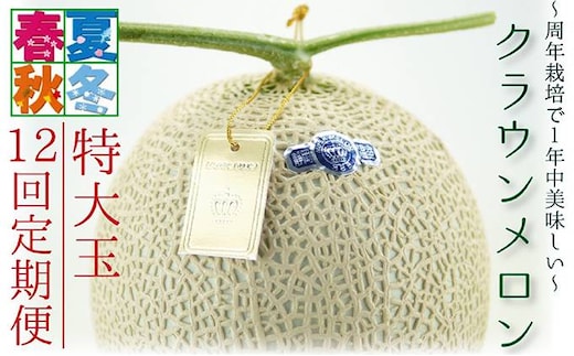 【12ヶ月定期便】クラウンメロン（白等級）特大玉 1玉入 