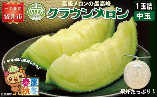 クラウンメロン（白等級）中玉 1玉入 果物類 メロン青肉 