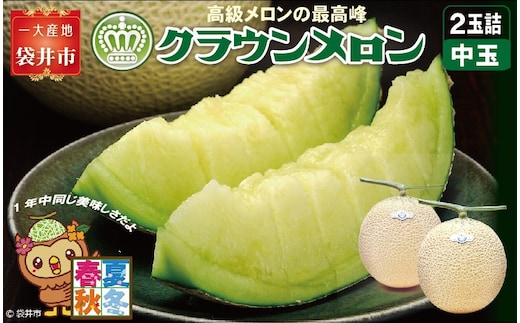 クラウンメロン（白等級）中玉 2玉入 果物類 メロン青肉 