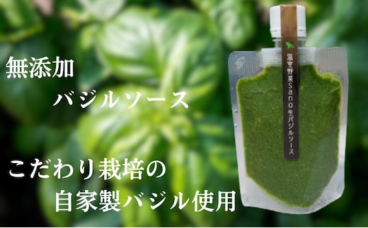 温室野菜 sano 生バジルソース 料理 イタリア料理 新鮮 香り 温室栽培 無添加 おすすめ 人気 厳選 袋井市 加工食品 食用油 
