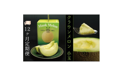 【12ヶ月定期便】クラウンメロン（白等級）小玉 １玉入 果物類 メロン青肉 