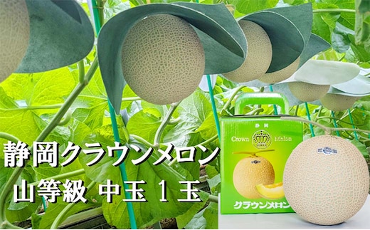 クラウンメロン【上（山等級）】中玉（1.3kg前後）1玉入り 人気 厳選 ギフト 贈り物 デザート グルメ 果物 袋井市 果物類 メロン青肉 フルーツ