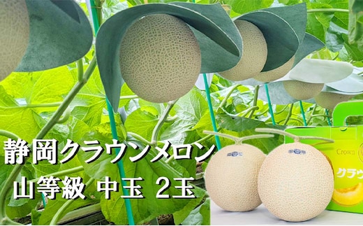 クラウンメロン【上（山等級）】中玉（1.3kg前後）2玉入り人気 厳選 ギフト 贈り物 デザート グルメ 果物 袋井市 果物類 メロン青肉 フルーツ
