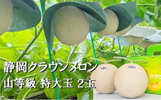 クラウンメロン【上（山等級）】特大玉（1.5kg前後）2玉入り 人気 厳選 ギフト 贈り物 デザート グルメ 果物 袋井市 果物類 メロン青肉 フルーツ
