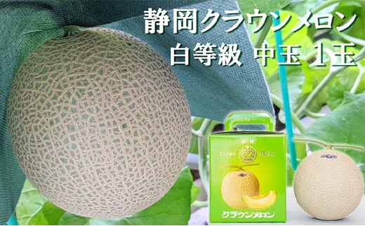 クラウンメロン【並（白等級）】中玉（1.3kg前後）1玉入り 人気 厳選 ギフト 贈り物 デザート グルメ 果物 袋井市 果物類 メロン青肉 フルーツ