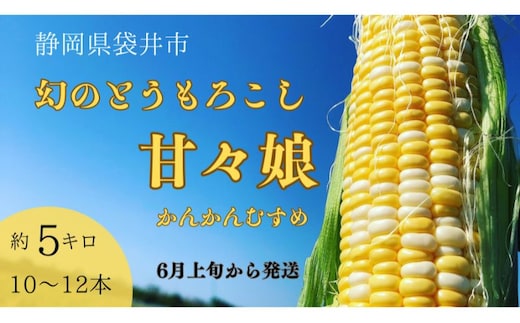 【先行予約】数量限定！リピーター続出！！とうもろこし★甘々娘★ おすすめ コーン トウモロコシ かんかんむすめ 採れたて 新鮮 野菜 健康 ヘルシー 人気 厳選 袋井市 フルーツコーン 静岡県