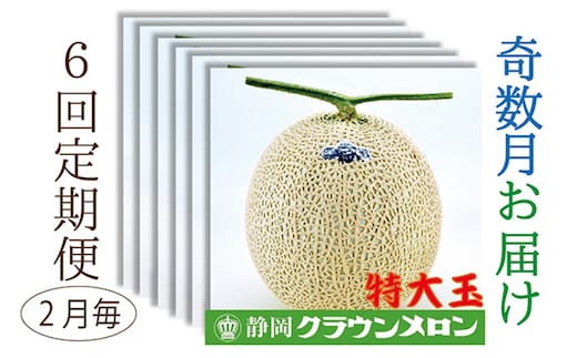 【奇数月6回定期便】クラウンメロン（白等級）特大玉 1玉入 果物類 メロン青肉 フルーツ 果物 