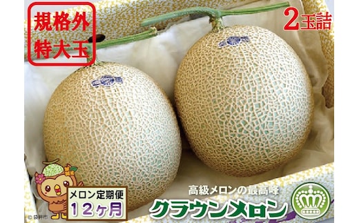 【12ヶ月定期便】クラウンメロン 規格外特大玉（約1.7kg）2玉入 果物類 メロン青肉 