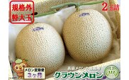 【3ヶ月定期便】クラウンメロン　規格外特大玉（約1.7kg）2玉入 果物類 メロン青肉 