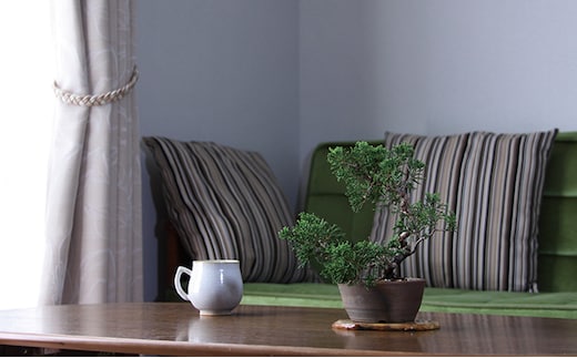 陶芸作家が手作りしています！盆栽鉢 2個セット 園芸 モダン ジャパニーズ 松 梅 植木鉢 異文化 人気 厳選 袋井市 雑貨 盆栽用品 日本文化 和 趣 インテリア 炭化 独特な味わい 焼締め鉢 松柏盆栽 花もの盆栽 藤花園 デザイン 製作