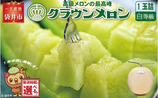 ★発送月選択できる返礼品★ 『クラウンメロン（白上級）1玉』 メロン 人気 厳選 ギフト 贈り物 デザート グルメ 袋井市2026年5月発送