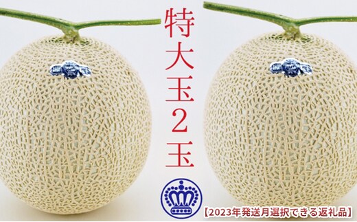 ★発送月選択できる返礼品★ 『クラウンメロン（白等級）特大玉 2玉』 メロン 人気 厳選 ギフト 贈り物 デザート グルメ 袋井市2026年7月発送