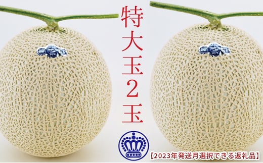 ★発送月選択できる返礼品★ 『クラウンメロン（白等級）特大玉 2玉』 メロン 人気 厳選 ギフト 贈り物 デザート グルメ 袋井市2026年10月発送