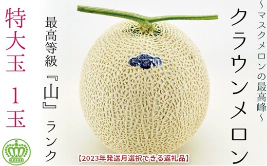 ★発送月選択できる返礼品★ 『クラウンメロン（山等級）特大玉 1玉』 ギフト箱入り メロン 人気 厳選 ギフト 贈り物 デザート グルメ 袋井市2026年10月発送