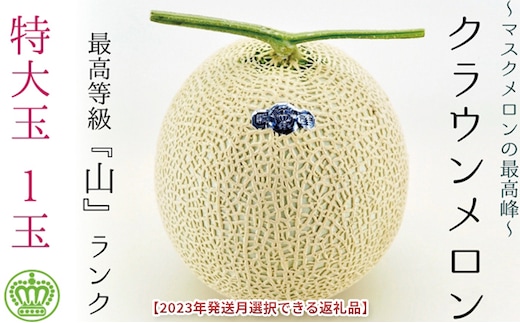 ★発送月選択できる返礼品★ 『クラウンメロン（山等級）特大玉 1玉』 ギフト箱入り メロン 人気 厳選 ギフト 贈り物 デザート グルメ 袋井市12月発送