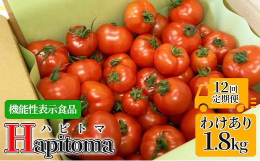 【12ヶ月定期便】機能性表示食品 Hapitoma ハピトマ 訳あり（1.8kg）【配送不可：北海道・沖縄・離島】健康 ヘルシー 人気 厳選 野菜 緑黄色野菜 産地直送 ダブル成分 GABA リコピン トマト 国産 静岡県産 袋井市産 食材 