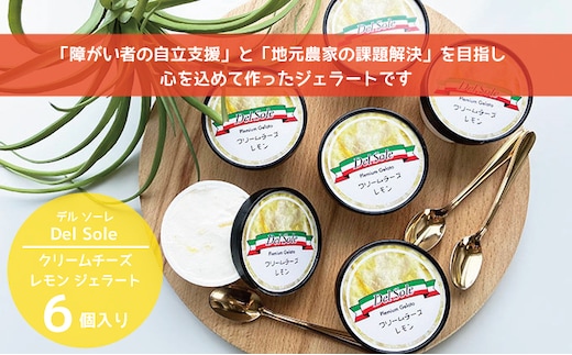 デルソーレ ジェラート★クリームチーズレモン★6個 農福 お菓子 スイーツ ひんやりスイーツ デザート 食後 おやつ アイス 地元食材使用 レモンジェラート フルーツジェラート 