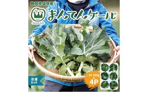 まんてんケール 冷凍カットケールセット 野菜 冷凍野菜 食べやすい スムージー ソテー 炒め物 食材 食卓