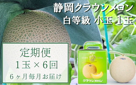 【6か月定期便】クラウンメロン【並(白等級)】小玉(1.1kg前後)1玉入り 果物 メロン青肉 フルーツ デザート 高級メロンブランド 高級メロン ブランドメロン