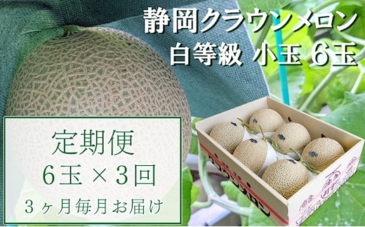 【3か月定期便】クラウンメロン【並(白等級)】小玉(1.1kg前後)6玉入り 果物 メロン青肉 フルーツ デザート 高級メロンブランド 高級メロン ブランドメロン