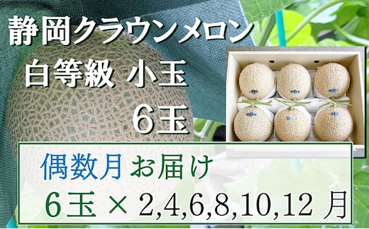 【偶数定期便】クラウンメロン【並(白等級)】小玉(1.1kg前後)6玉入り 果物 メロン青肉 フルーツ デザート 高級メロンブランド 高級メロン ブランドメロン