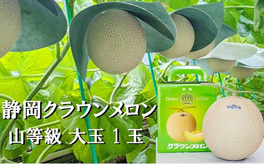 クラウンメロン山等級1.4kg前後 1玉入り 果物 メロン青肉 フルーツ デザート 高級メロンブランド 高級メロン ブランドメロン