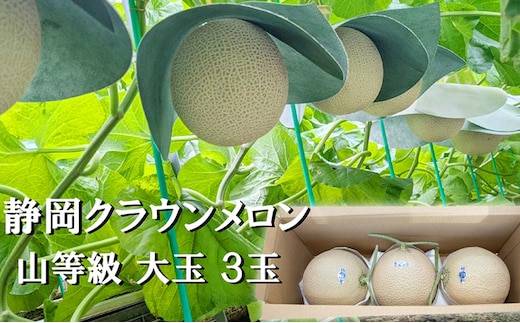 クラウンメロン山等級1.4kg前後 3玉入り 果物 メロン青肉 フルーツ デザート 高級メロンブランド 高級メロン ブランドメロン