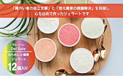 デルソーレ ジェラート★大人気！旬の6種詰め合せ★（12個入り） セット 袋井市