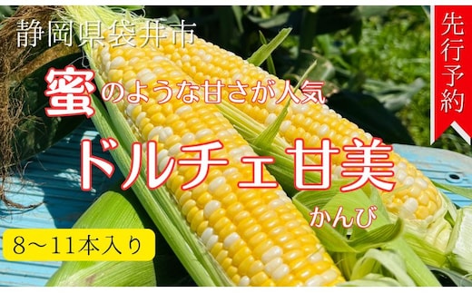 【先行予約】リピーター続出！とうもろこし【ドルチェ甘美】